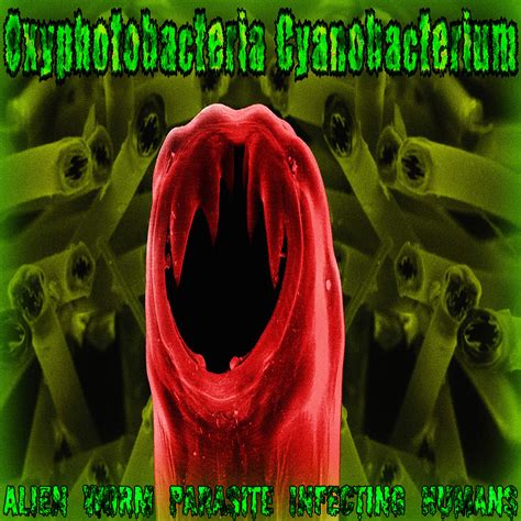 Image result for Alien Parasite Worm