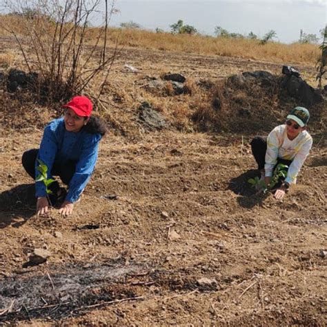 Azbil’s Agroforestry Action: Empowering Agroforests for a Sustainable ...