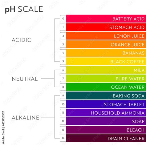Image result for pH Values Chart