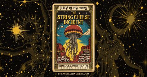 Image result for String Cheese Incident Live