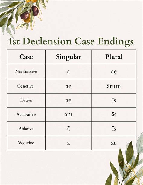 Latin Declension Chart: 1st Declension Latin Endings, Latin Grammar ...