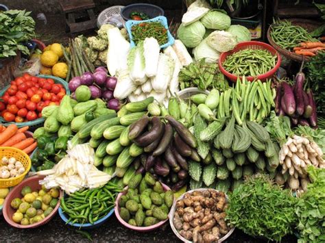 Typhoid-gastro bacteria were found in 52 out of 550 vegetable samples.