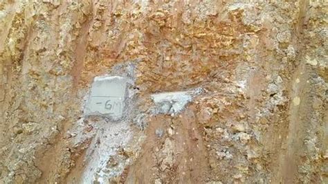 Automatic Level - AT- B 4 Series Topcon Auto Level Manufacturer from ...