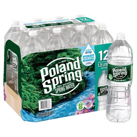 Poland Spring Natural Spring Water - 12pk/1.5 fl oz India | Ubuy