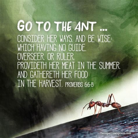 Go to the ant ... consider her ways, and be wise: Which having no guide ...