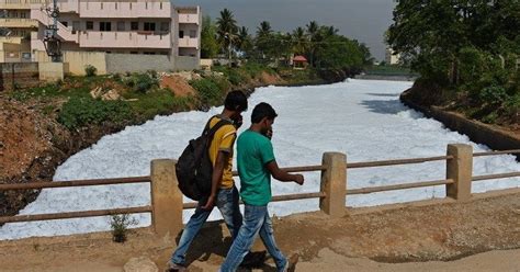 Bengaluru: NGT pulls up Karnataka govt after toxic foam from Varthur ...