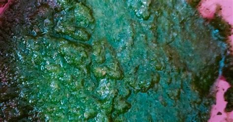 Mint sauce Recipe by Rekha Daas - Cookpad