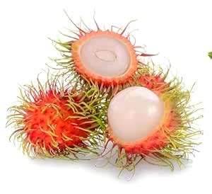 Green view® Thai Variety Red Rambutan Live Plant Rambutan|Nephelium ...