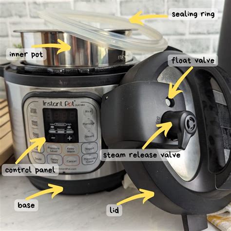 How to Use an Instant Pot - Upstate Ramblings