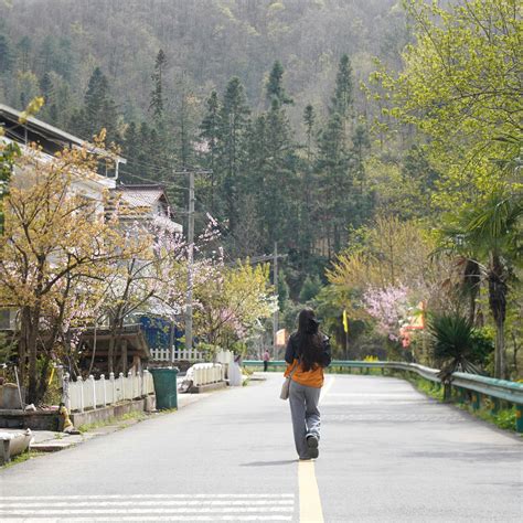 High Resolution Spring 的图像结果