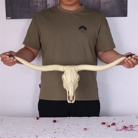 Suruim Longhorn Bull Skull Wall Art, Steer Horns Head Decor India | Ubuy