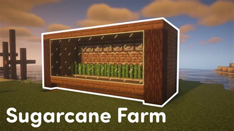 Image result for Minecraft Sugarcane Farm Tutorial