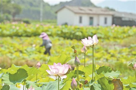 120米农田灌溉井项目|新闻动态-开封瑞达打井有限公司