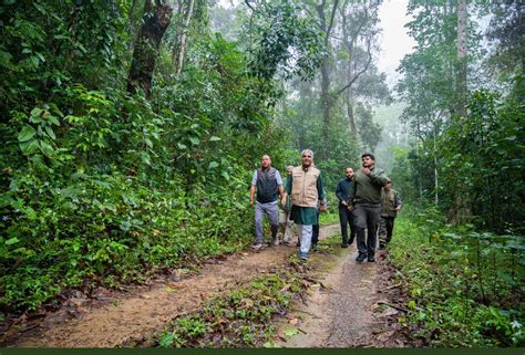 National Tiger Conservation Authority