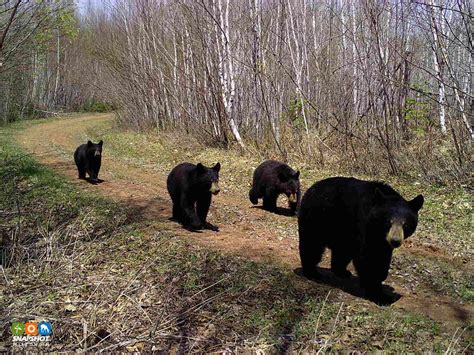 NASA Org 的图像结果