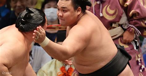 Osaka Free Sightseeing Plan with Sumo Ticket - Klook India