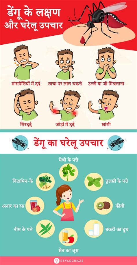 डेंगू के कारण, लक्षण और घरेलू उपाय - Dengue Symptoms and Home Remedies ...