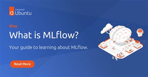 Mlflow Example 的图像结果