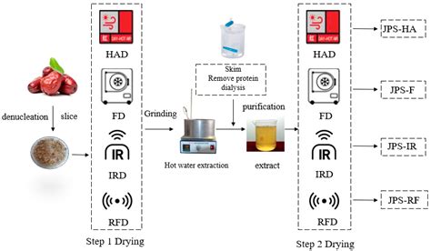 Comparative Evaluation of Physicochemical Properties, Microstructure ...