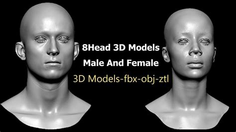 8 Head 3D Models Male And Female - FlippedNormals