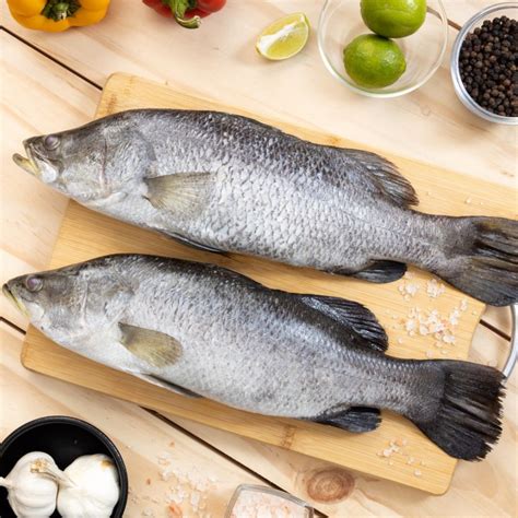 100% Traceable Fish Food Chain to provide Safe and natural rich food ...