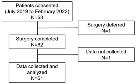 Prospective Real-Time Screw Placement Using O-Arm Navigation