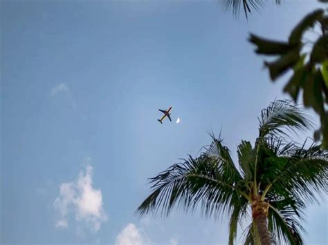 Mumbai Travel Restrictions: BMC makes RT-PCR tests mandatory for ...