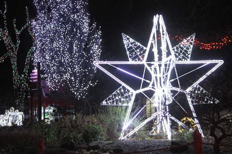 Wild Winter Lights returns to Cleveland Zoo for 2021 - cleveland.com