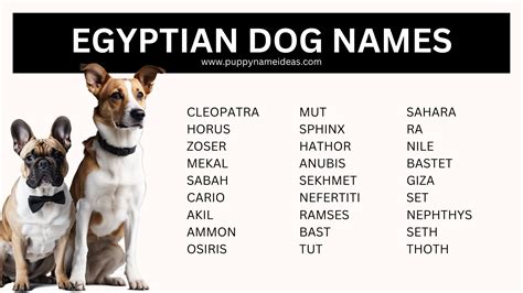 Egyptian Pet Names at Jimmy Milam blog
