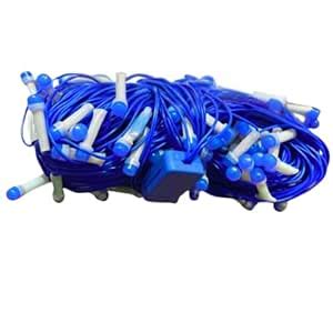 Buy NEWNESS 22 LED 10 Meter (Blue) PS 26 Decorative Rice String Lights ...