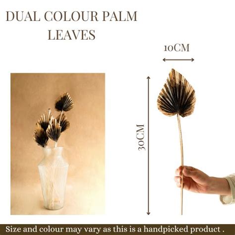 Dual Colour Palm leaves – https://artecasa.in/