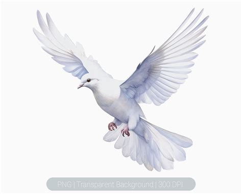 Flying White Doves Clipart, Watercolor Doves Png, Floral White Dove ...