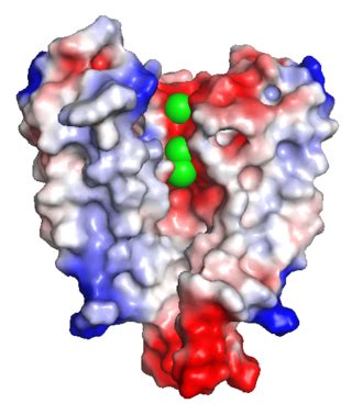 Image result for Electrostatic Potential Map of Dispersion Forces
