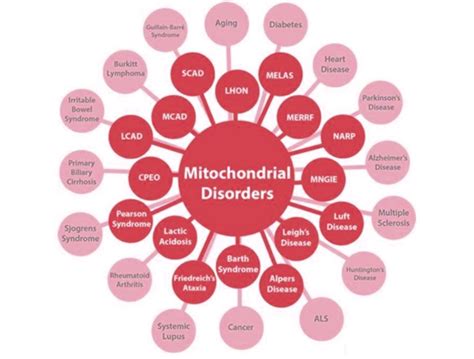 Application of Whole Genome Sequencing to screen Mitochondrial Disorders