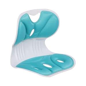 BNF Posture Correcting Chair Waist Back Support for Desk Office Home ...