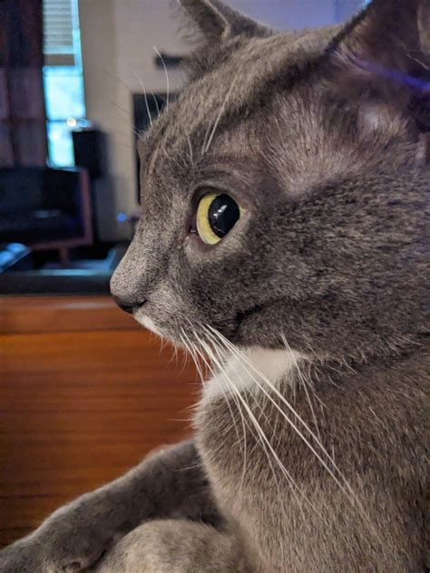 AP Enviro Sci exam : r/APStudents