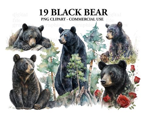 Clip Art Black Bear