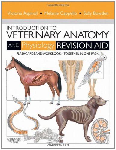 Buy Introduction to Veterinary Anatomy and Physiology Revision Aid ...