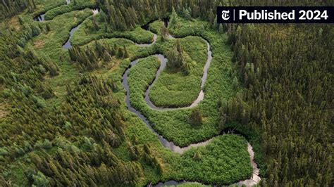 Canada’s Boreal Forests Badly Damaged by Logging - The New York Times