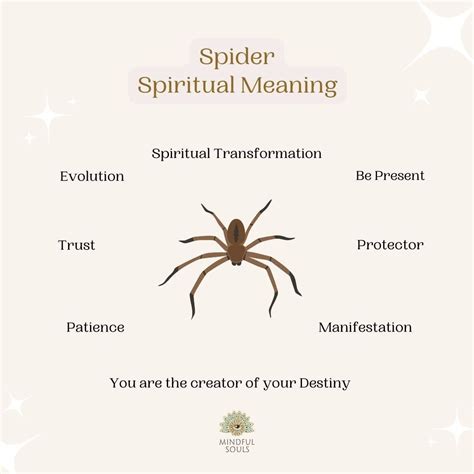Spider web spiritual meaning – Artofit