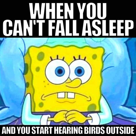 Funny Insomnia Memes For 3am Laughs When You Cant Sleep