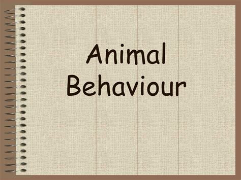 Image result for Animal Behaviour