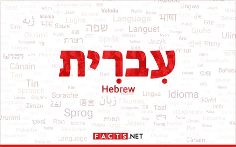 Sleep In Hebrew Language at Levi Skipper blog