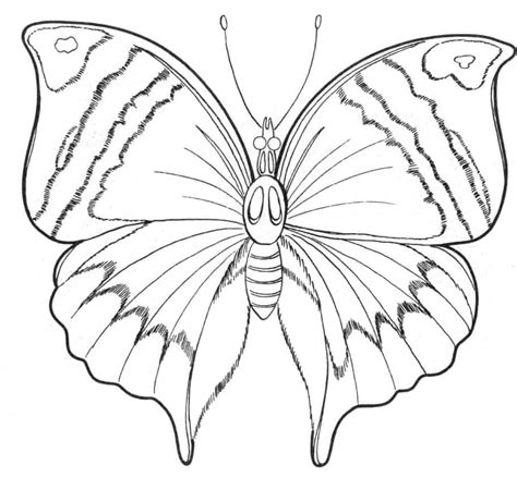 Image result for Butterfly Coloring