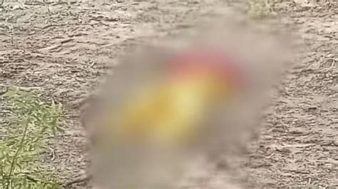 Haryana Teacher Death Case: Govt Transfers Manisha's Death Case To CBI ...