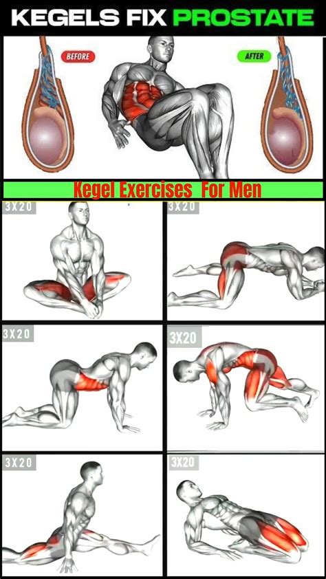 Printable Kegel Exercises For Men