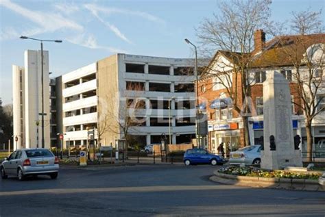 STARTER HEAVEN - Reviews, Photos - King Palace - Tripadvisor