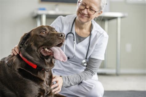 Banfield Pet Hospital in Whittier, CA 90605 - (562) 6...