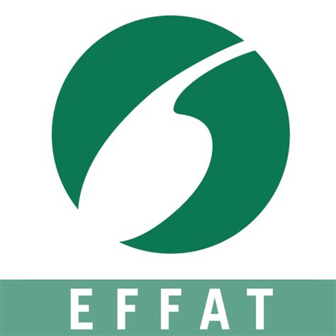 Image result for Serial Turkey Effat