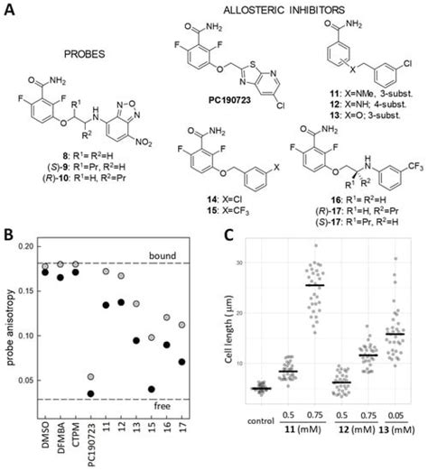 The Search for Antibacterial Inhibitors Targeting Cell Division Protein ...